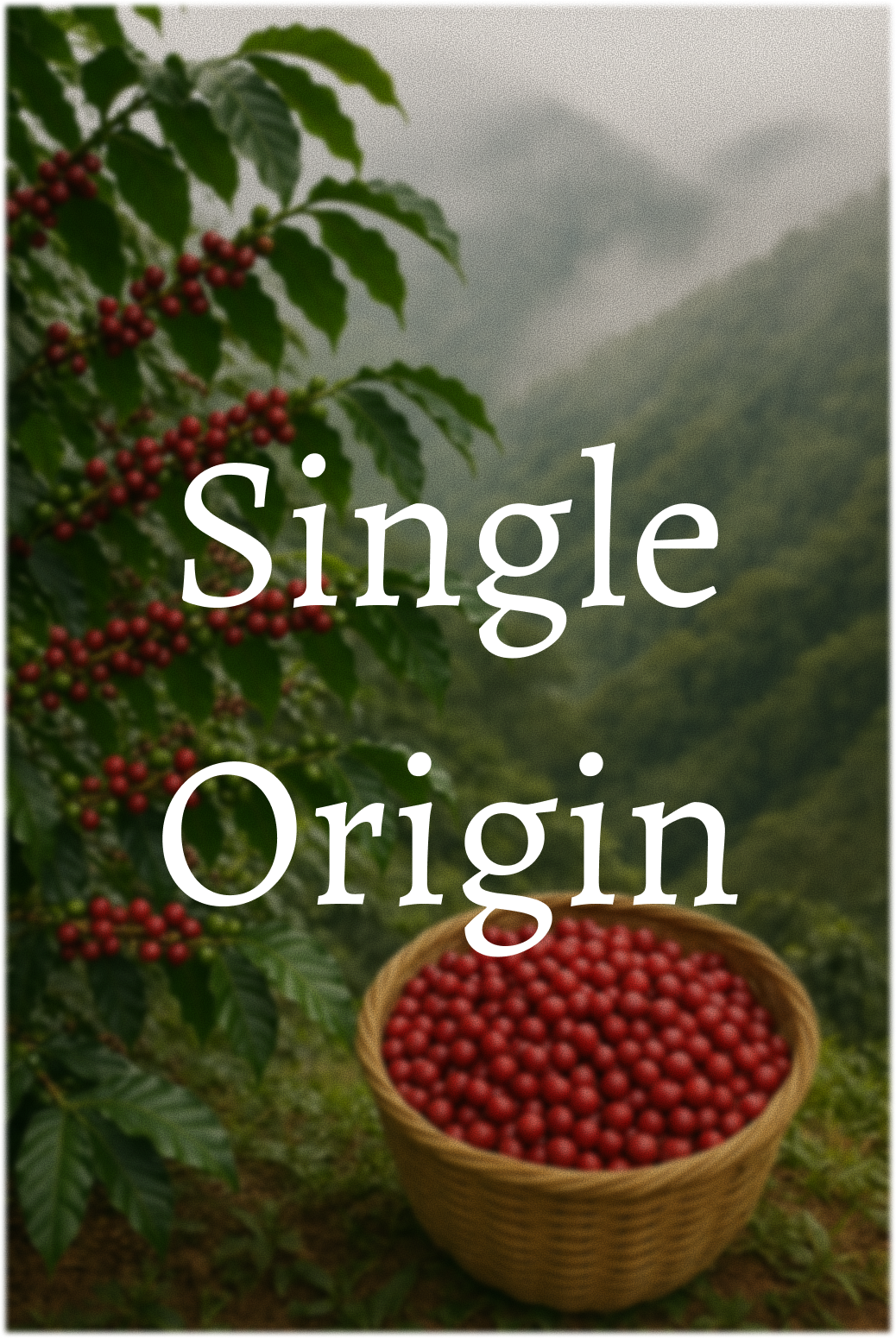 Single Origin